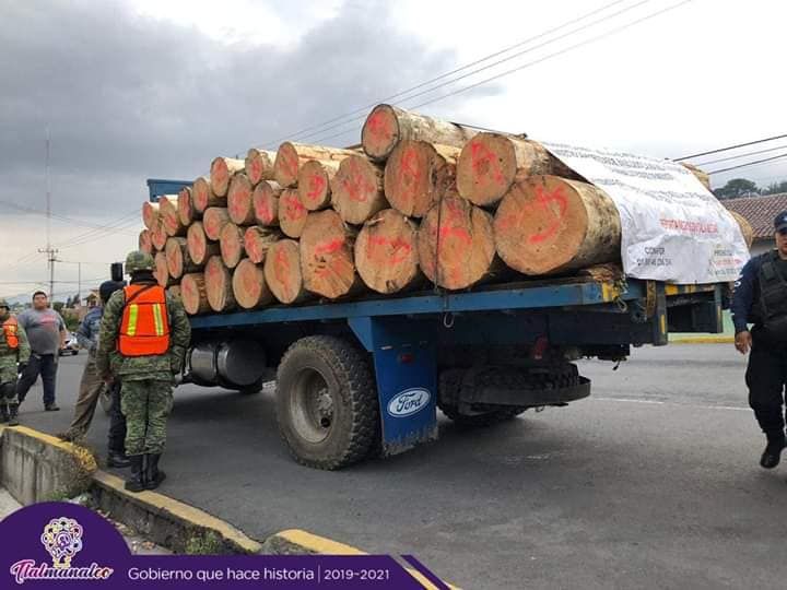 Autoridades federales incrementan tala de árboles