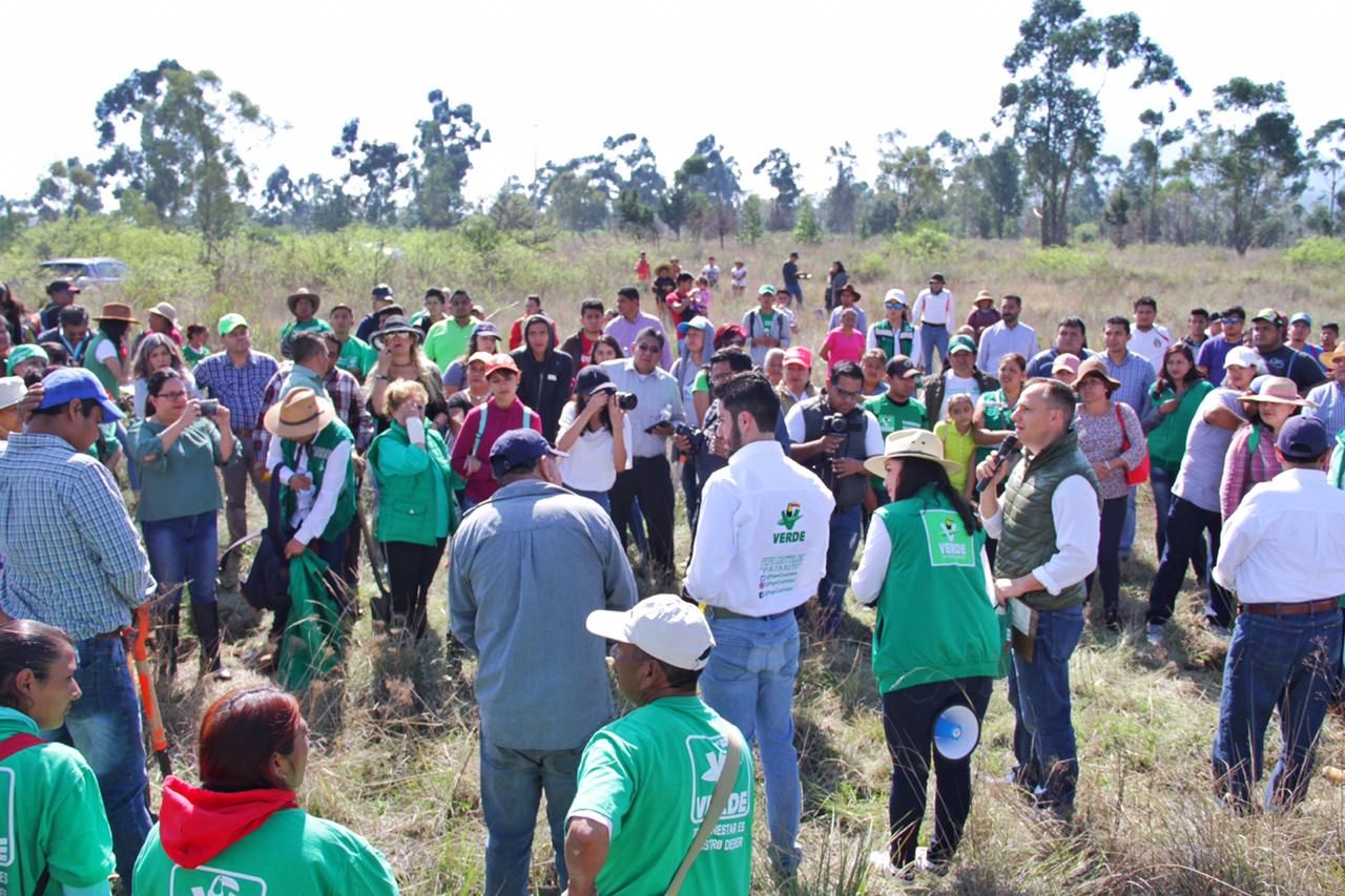 Realiza Partido Verde jornada masiva de reforestación en Texcoco