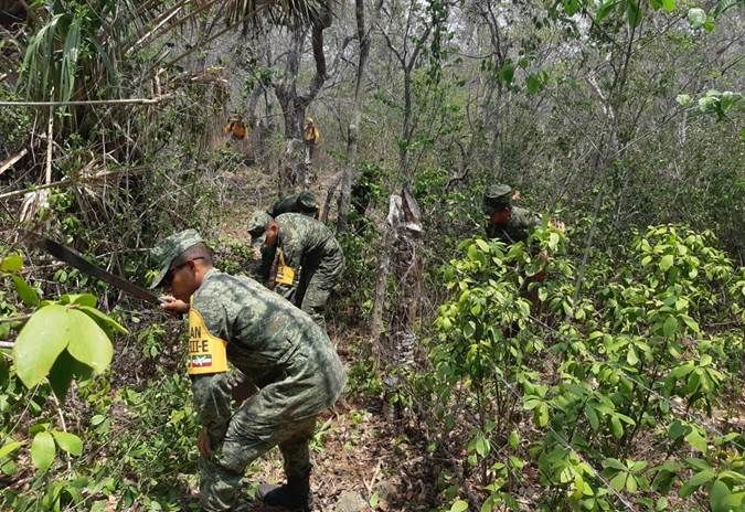 Ejército y Fuerza Aérea Mexicanos coadyuvan en actividades de sofocación de incendios en cuatro estados del país.

