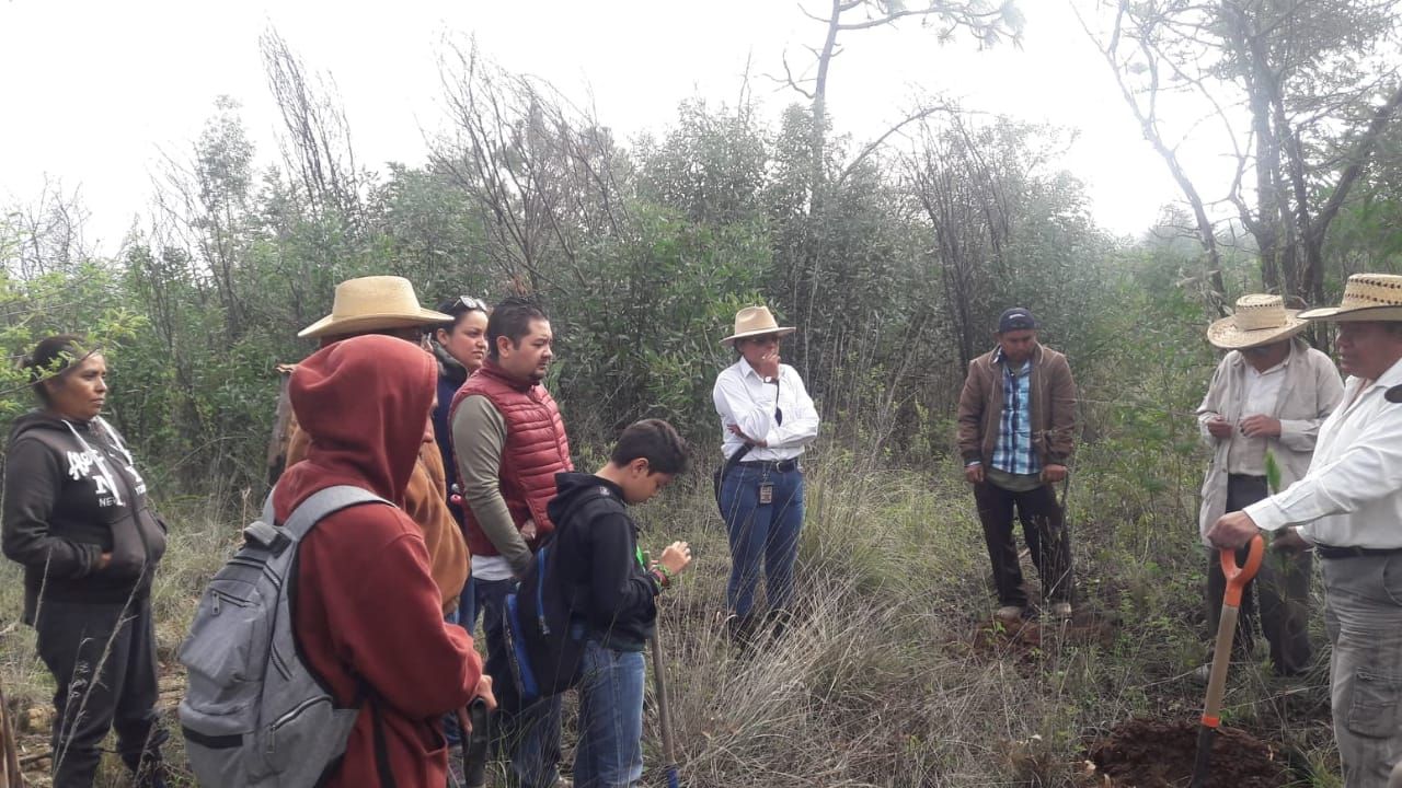 Se plantan 3 mil 500 árboles con el apoyo de los vecinos en Texcoco