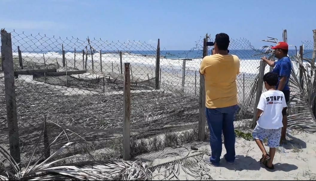 Urgen apoyos para la reactivación del campamento tortuguero de la playa El Carrizal de Cinta Larga, en Tecpan