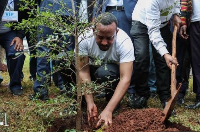 Etiopía logra récord mundial luego de plantar más de 350 millones de árboles en 12 horas