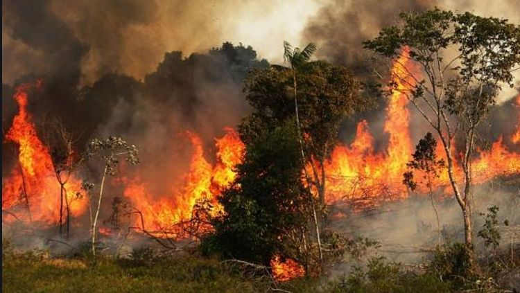 Brasil le dice no a ayuda del G7 para extinguir las llamas que se comen a la Amazonía
