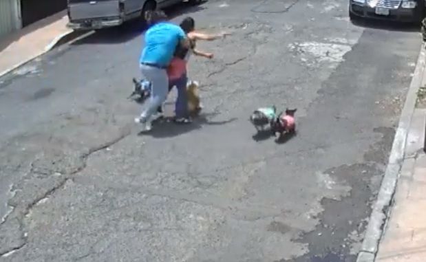 Hombre "taclea" a mujer por presunta pelea entre sus perros