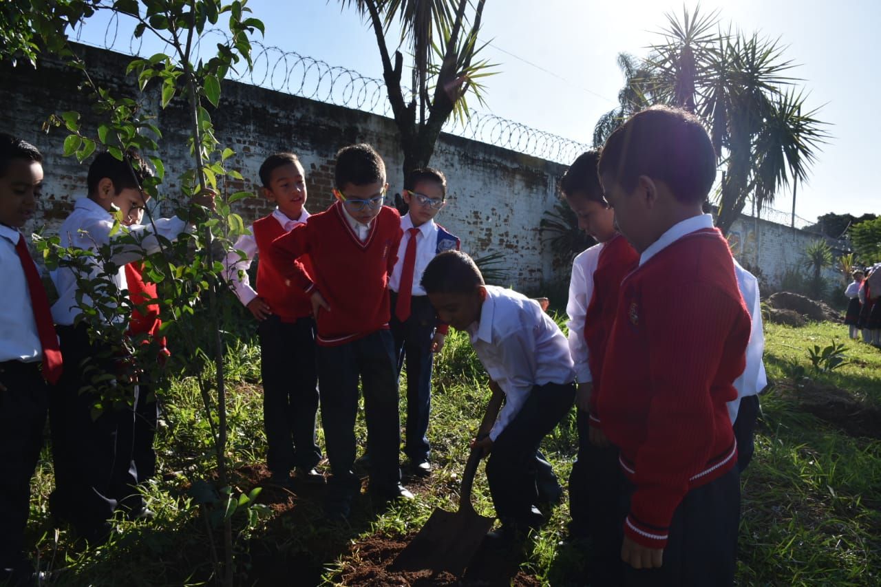 Reforestación de una primera etapa la escuela primaria ’21 de Mayo’ de la colonia Dos Caminos. 