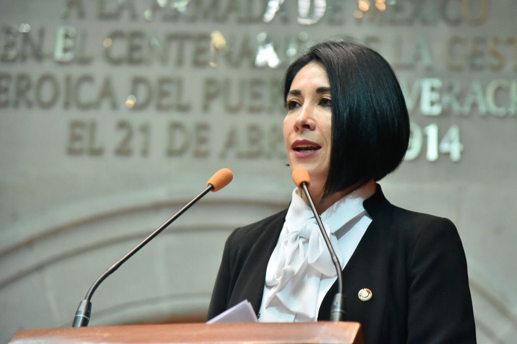 Inevitable la segunda alerta de género para la entidad Mexiquense: Karina Labastida 