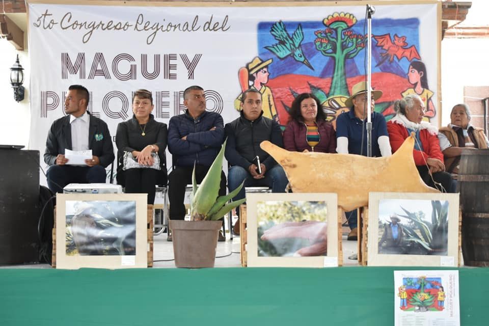 Destacan Congreso Regional del Maguey Pulquero en Tepetlaoxtoc