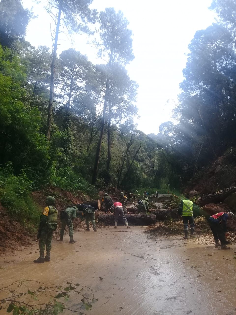 Ejército Mexicano aplica el Plan DN-III-E por derrumbe en carretera