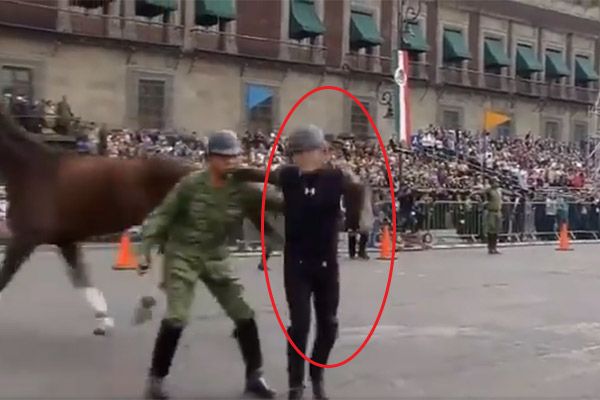 Jinete y caballo sufren aparatosa caída en desfile de la Revolución