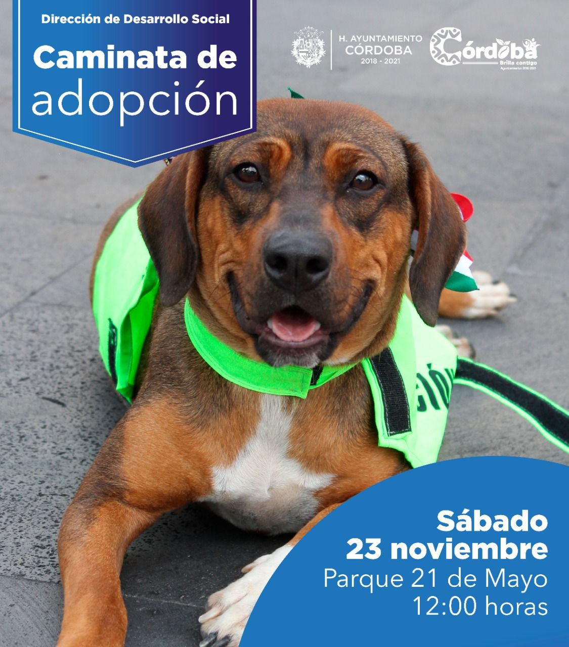 Centro de Bienestar Animal de Córdoba realizará Quinta Caminata Adóptame