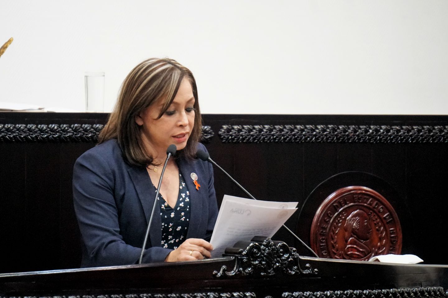 La Diputada Claudia Lilia Luna Islas planteó una iniciativa para reformar la Ley Orgánica del Tribunal Electoral del Estado de Hidalgo