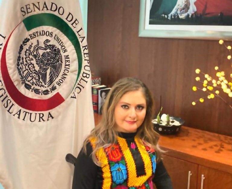 Iniciativa de Claudia Anaya busca garantizar derechos políticos y electorales de personas con discapacidad