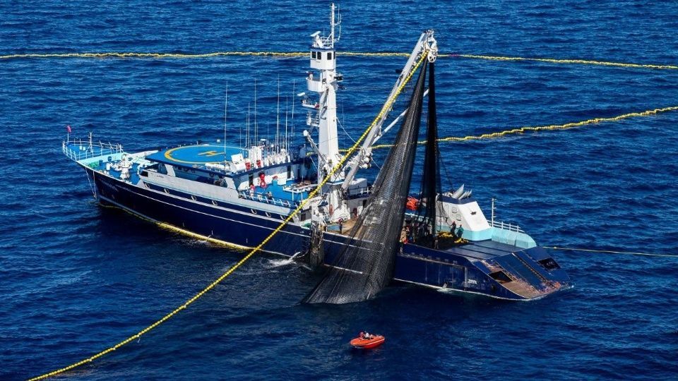 Inicia temporada de pesca de atún en el Océano Pacífico