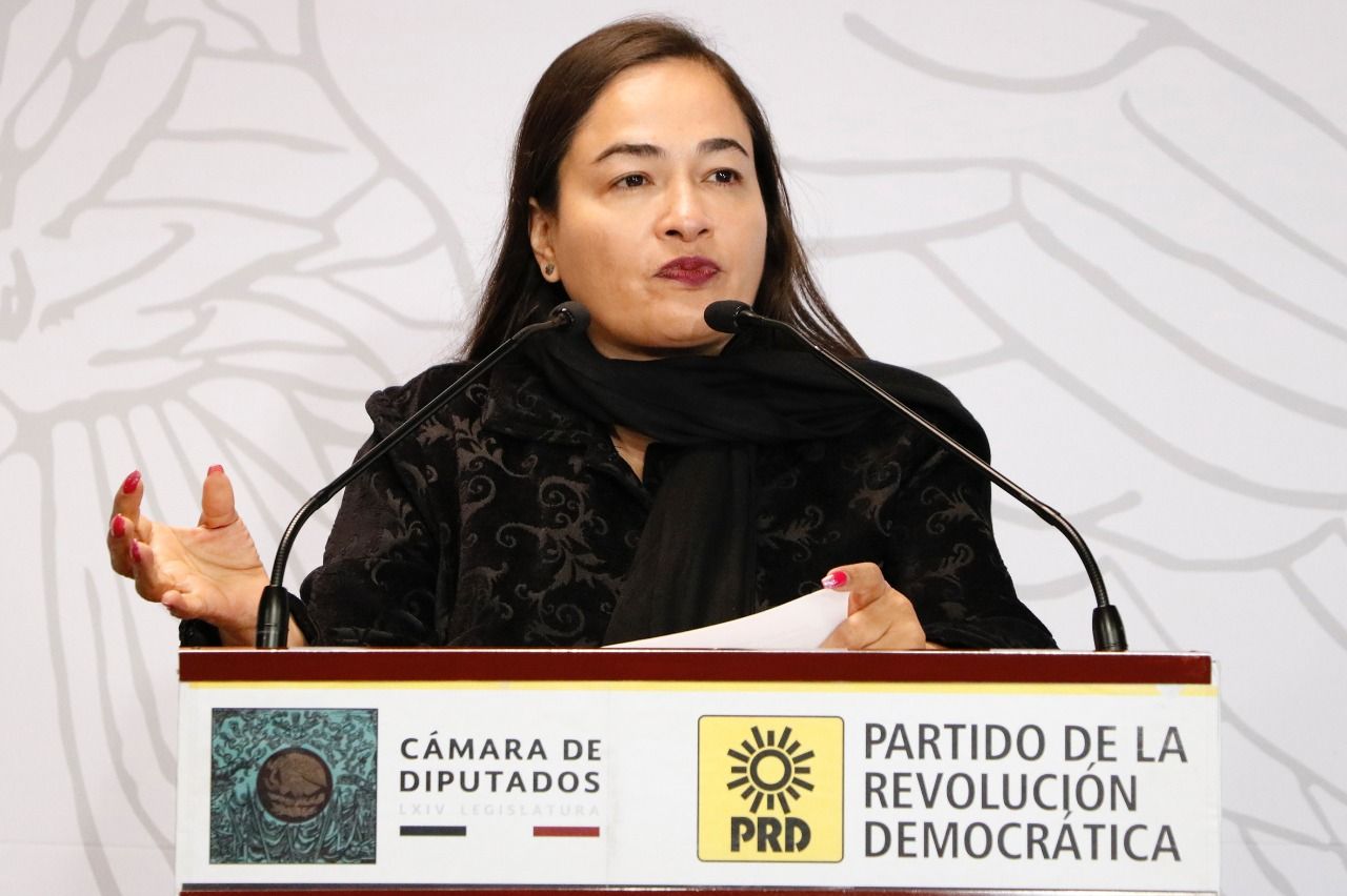 Plenaria del PRD, el 27 y 28 de enero en Cámara de Diputados: Verónica Juárez