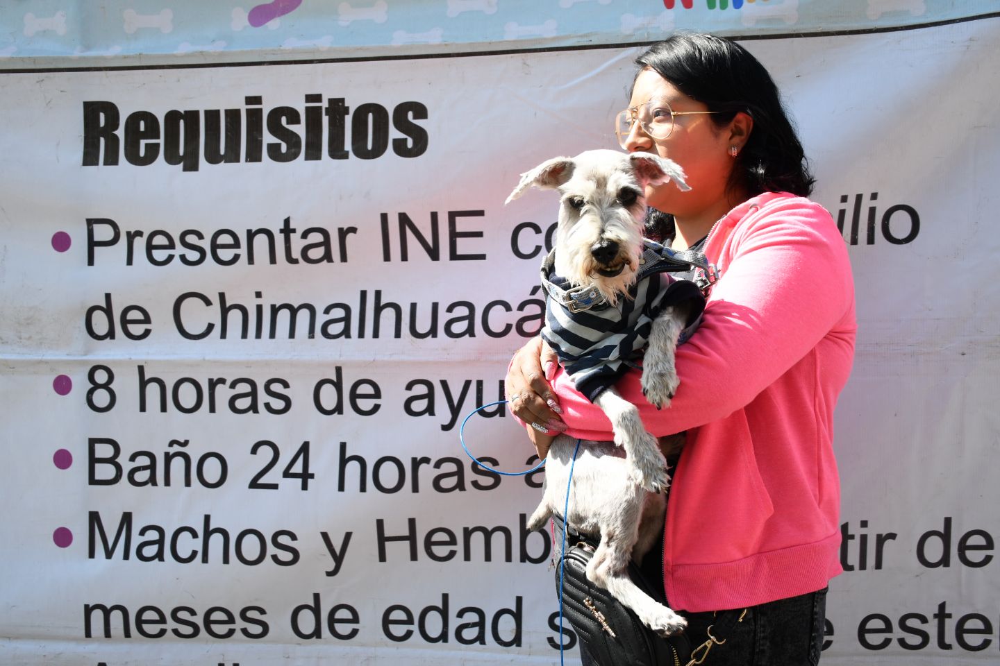 Chimalhuacán amplía programa de esterilizaciones caninas y felinas gratuitas

 