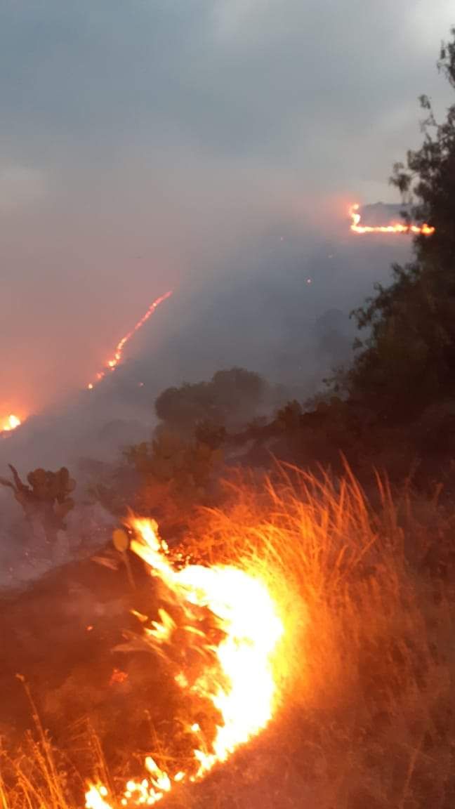 Protección civil y bomberos de Acolman logran controlar incendio en la Sierra Patlachique