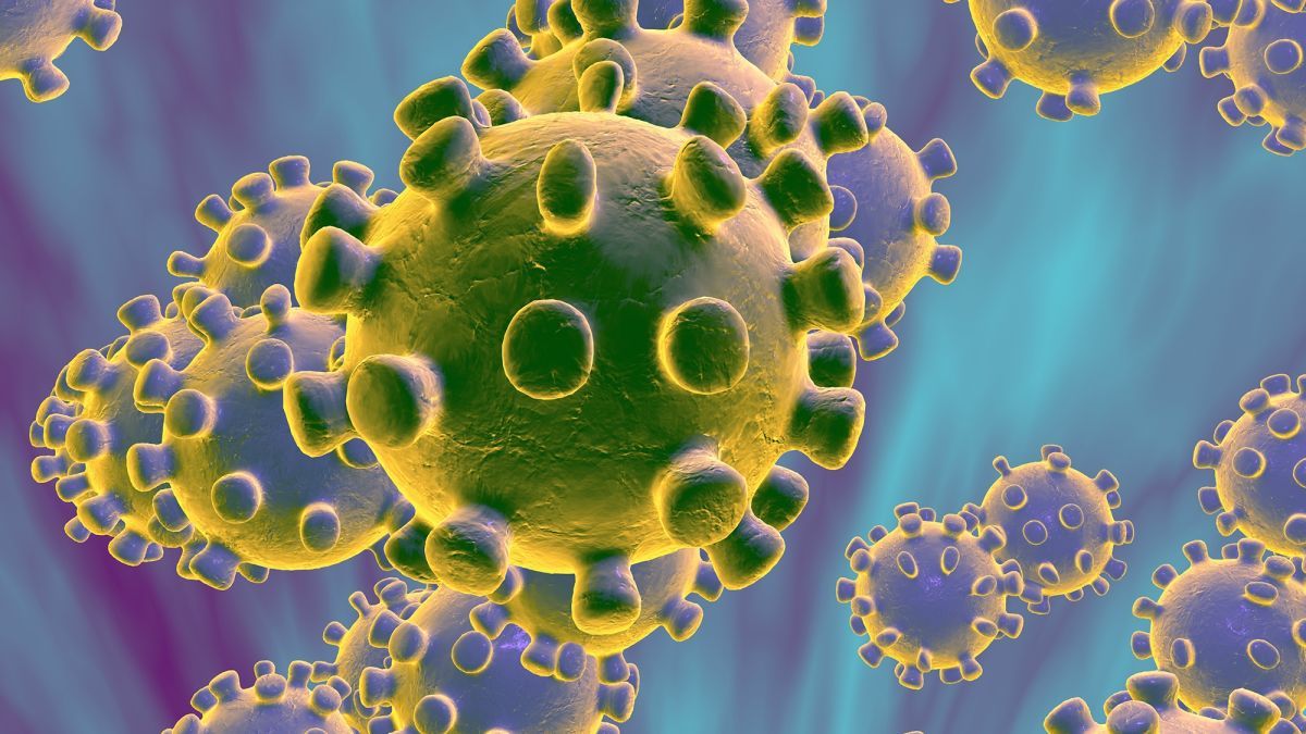 Aún no hay casos de coronavirus en México Salud
