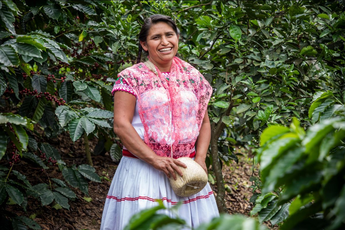 Mujeres que cultivan café en Puebla