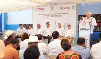 Inauguran Agricultura y Gobierno de Oaxaca planta procesadora de mango que exportará a América del Norte, U. Europea, Rusia, Australia y N. Zelanda