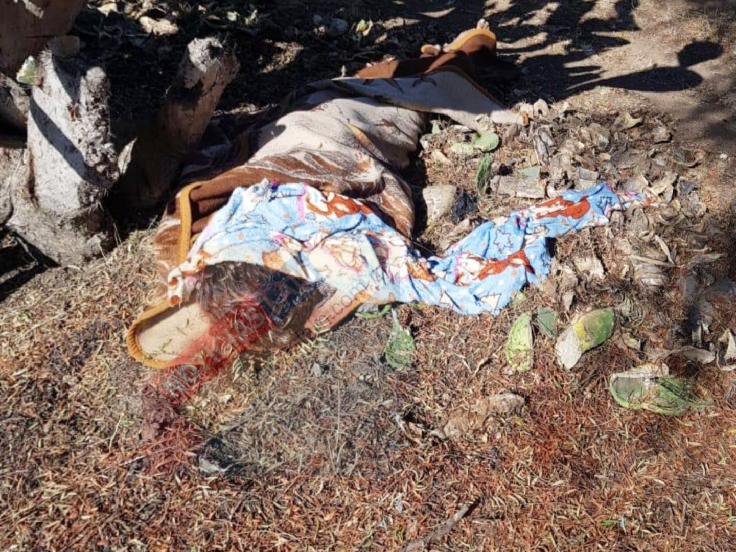 Localizan a una mujer asesinada en una Nopalera, en Axapusco