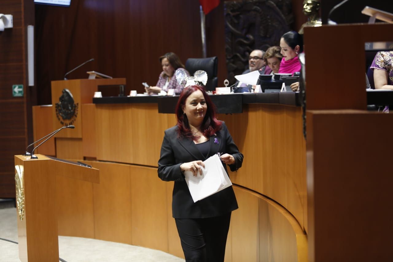 Cora Cecilia Pinedo propone proteger derechos de las mujeres cuando alquilan sus vientres

