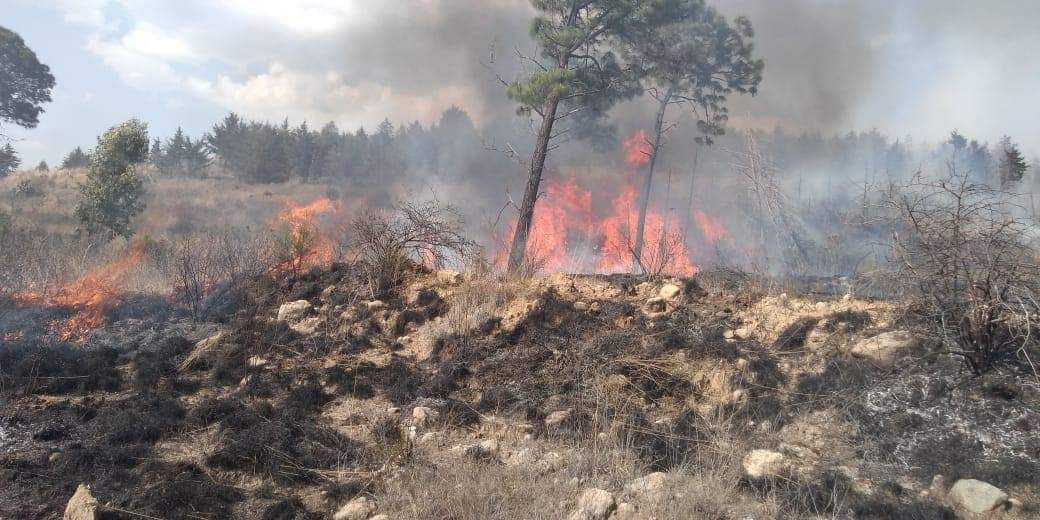 Continúan trabajos en el combate de incendios forestales