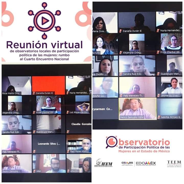 Realizan reunión virtual integrantes de observatorios de participación política de la mujer