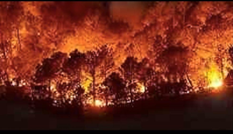 ¡Nueve muertos en incendio forestal en Oaxaca! 