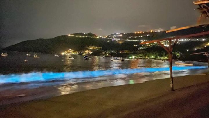 Playas de Acapulco se iluminan cuando oscurece; la ausencia de turistas lo hizo posible