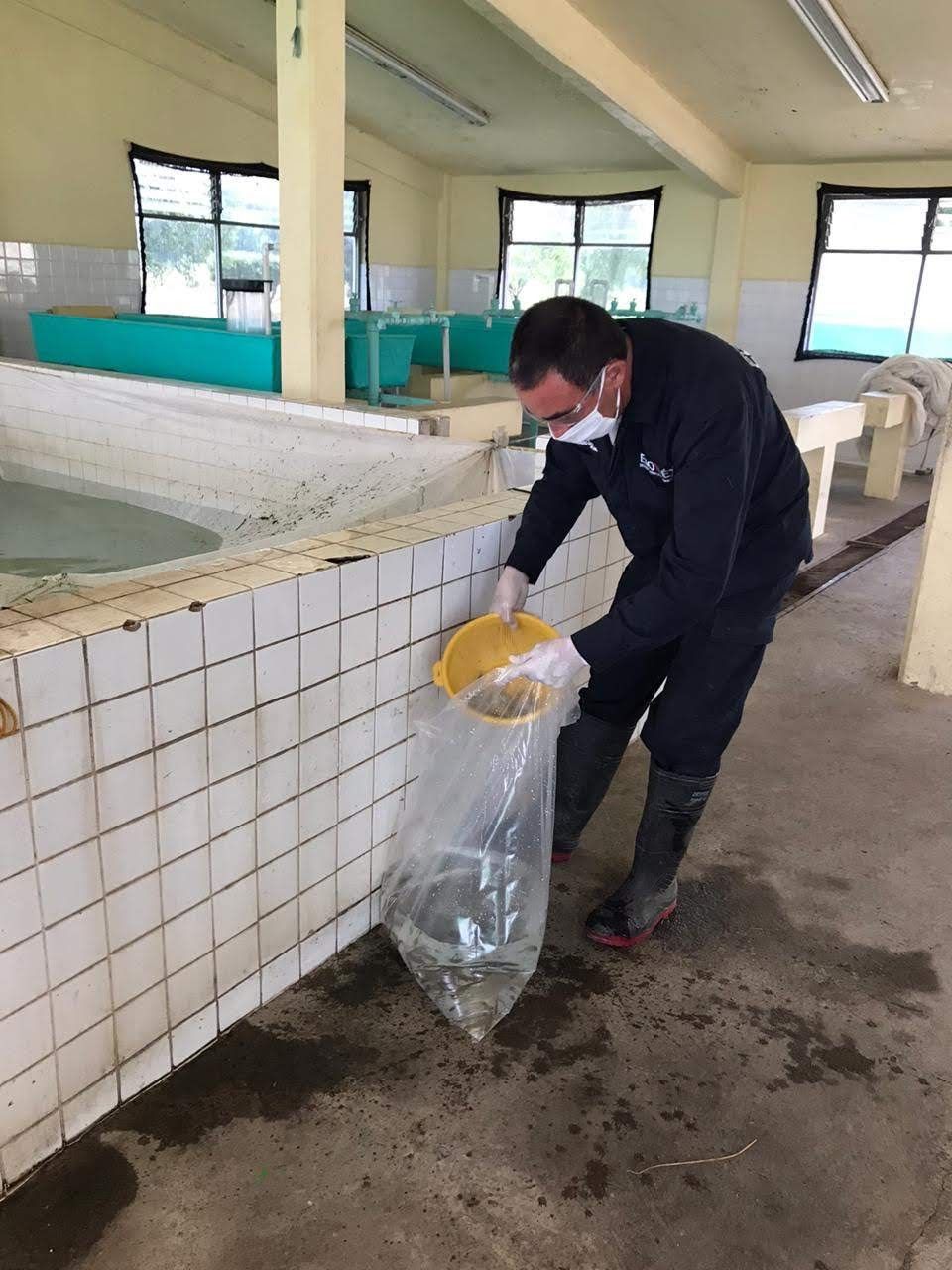 "Gobierno del edoméx entrega crías acuícolas durante contingencia por Covid-19"