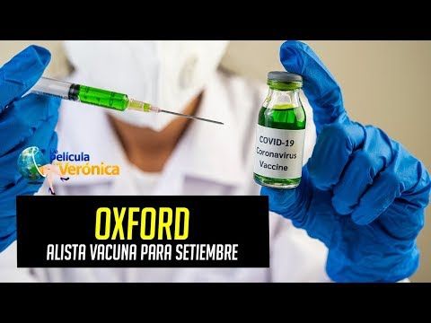 Vacuna contra coronavirus podría estar lista en septiembre: Oxford