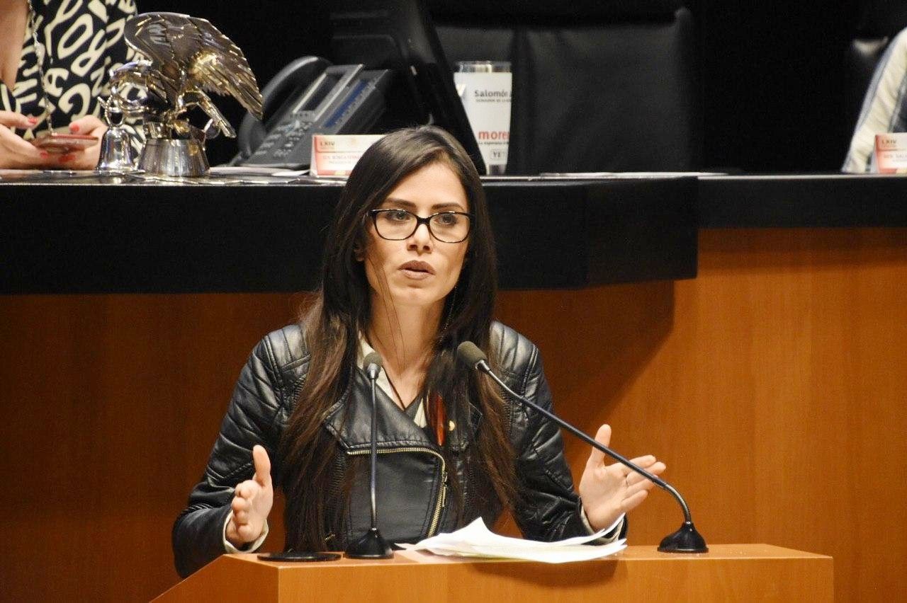 Verónica Delgadillo pide comparecencia del secretario y el subsecretario de Salud ante la permanente