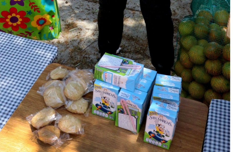 Entregan más de un millón de desayunos escolares a menores de 3 a 12 años en Hidalgo 