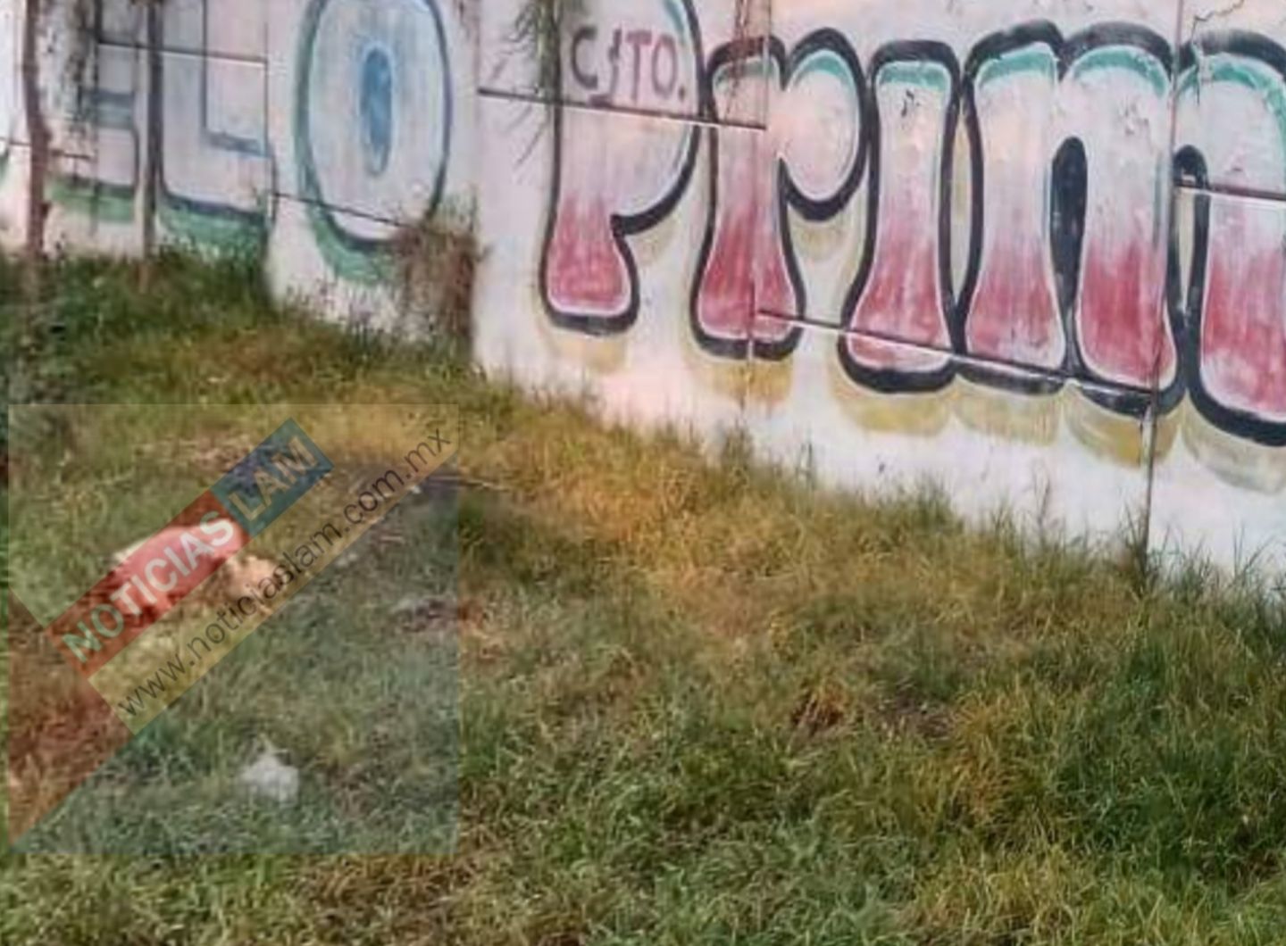 Localizan los restos de una mujer tirados en un terreno de comunidad de Texcoco