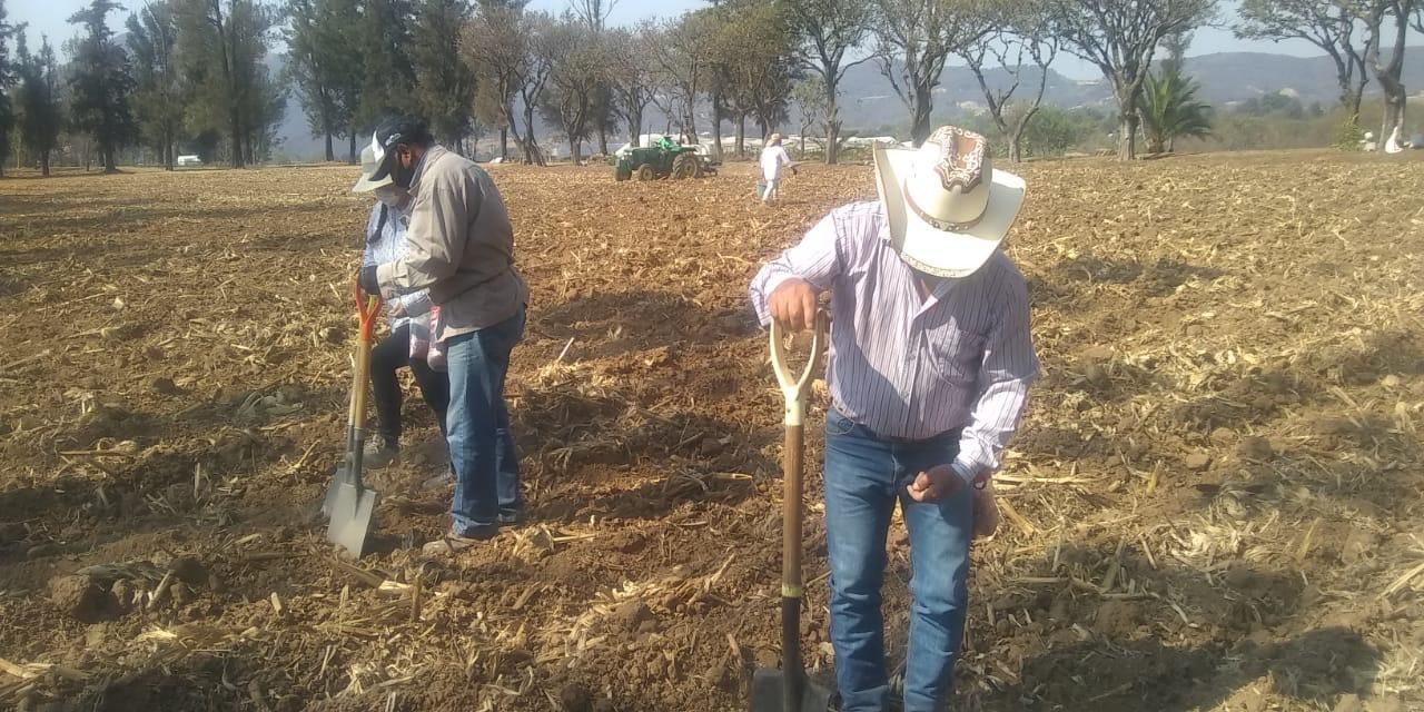 Apoya SEDAGRO a productores mexiquenses con variedades de maíz
