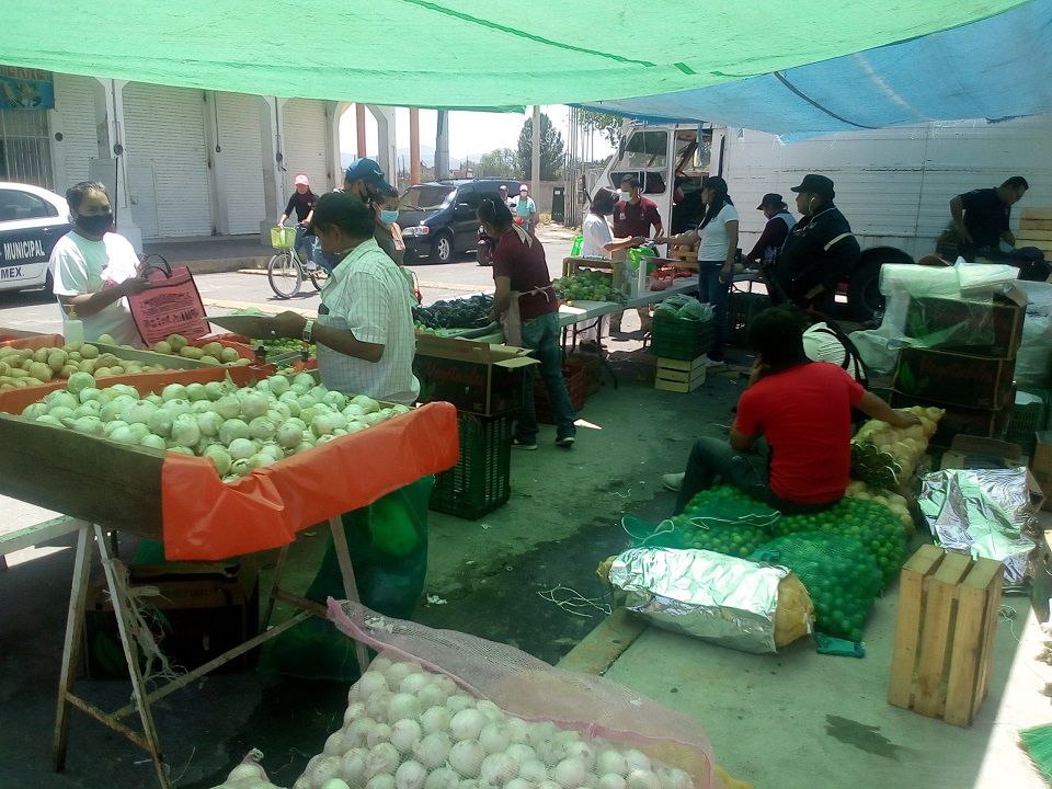 Programa alimentario apoya a productor de nopal en Chiautla