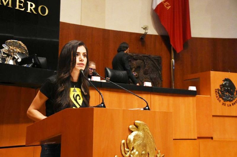 A Morena no le interesa ni la vida ni los derechos humanos,
solo quieren lucrar políticamente con la tragedia: Verónica Delgadillo