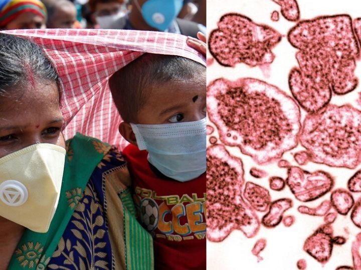 
Alerta OMS por virus del Nipah, más letal que el Covid-19