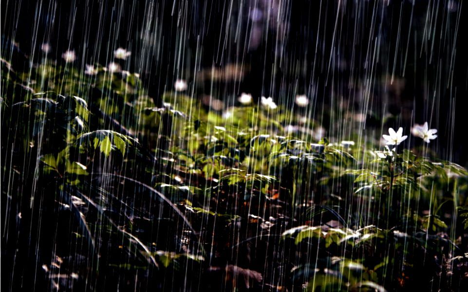 Pronostican intensas lluvias en Chiapas