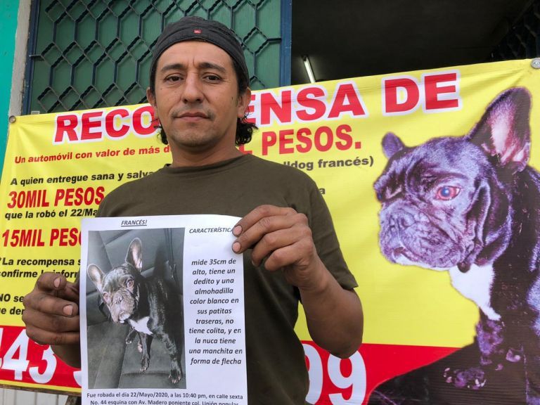 En Michoacán,México  hombre ofrece auto como recompensa por su perra pérdida. 