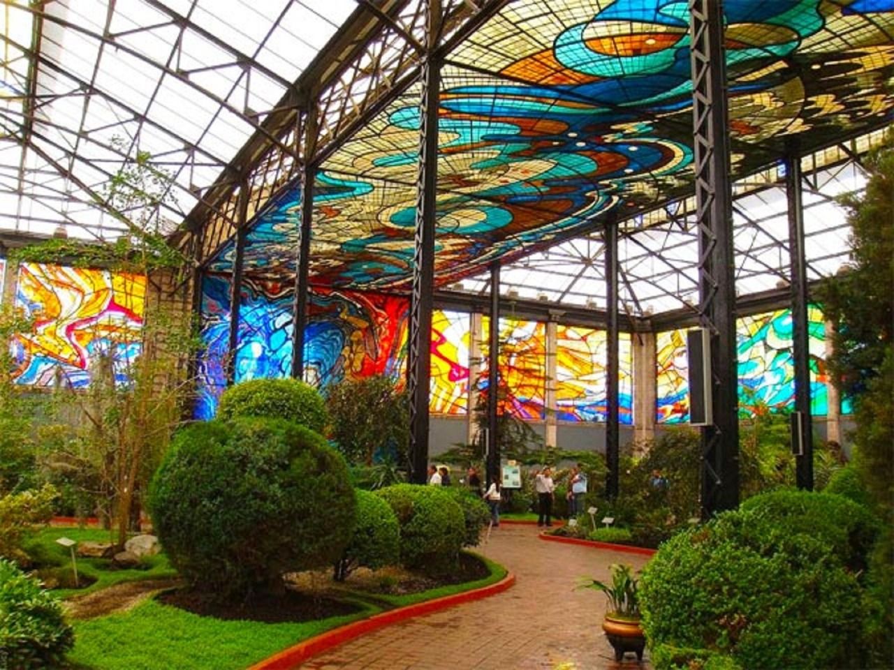Organizan taller para festejar el 40 aniversario del Cosmovitral Jardín Botánico