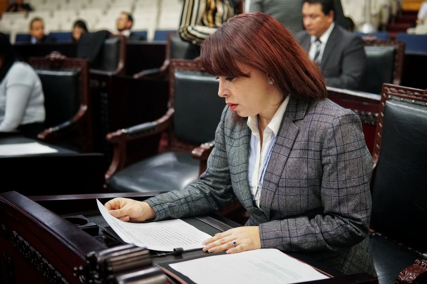 Iniciativa de Ley para la designación de los Concejos Municipales, presentada por la diputada Claudia Lilia Luna Islas 