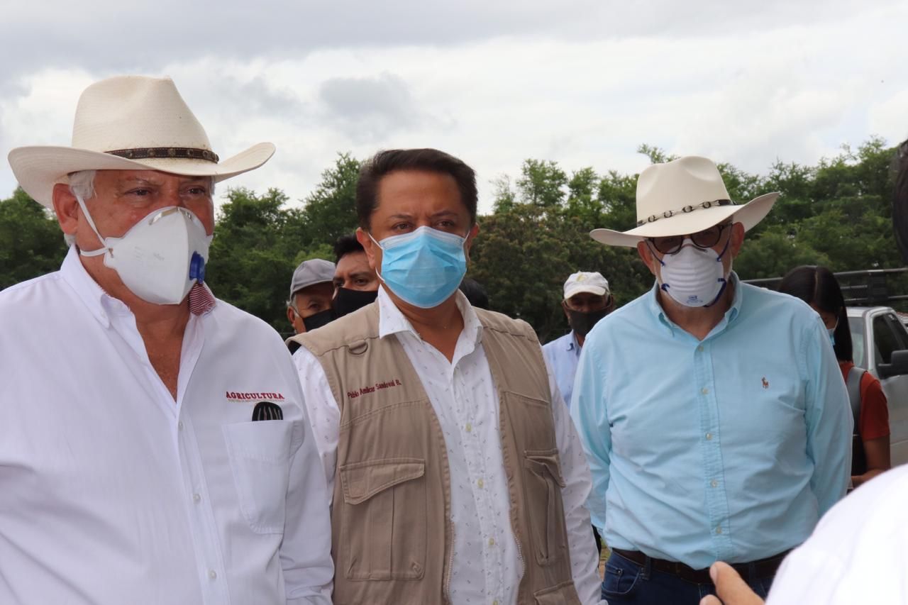 Garantizada la seguridad alimentaria para este año en Guerrero: Pablo Amílcar Sandoval 