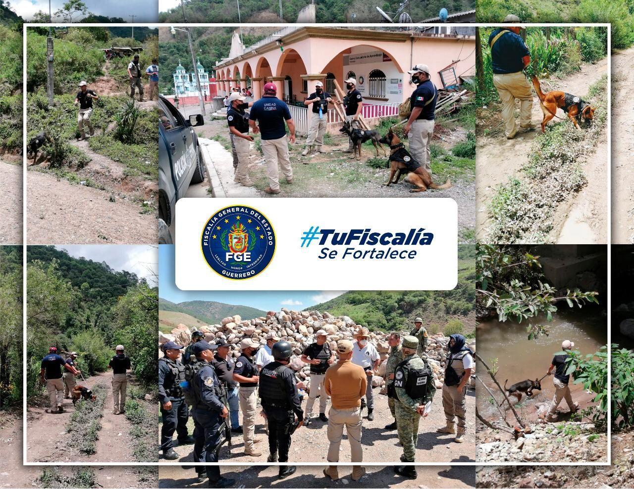 Fiscalía  extiende la búsqueda en Cochoapa el Grande, con el apoyo de la Unidad Canina
