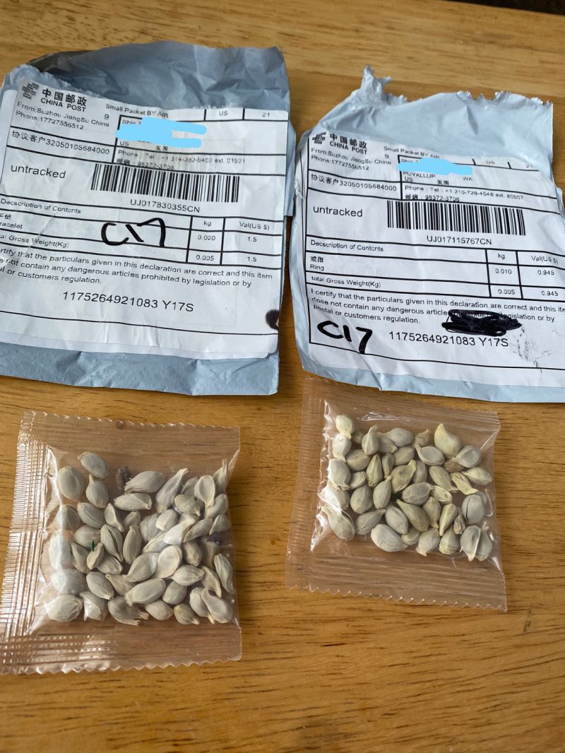 Los misteriosos paquetes con semillas que han sido enviados por correo desde China a hogares de EEUU
