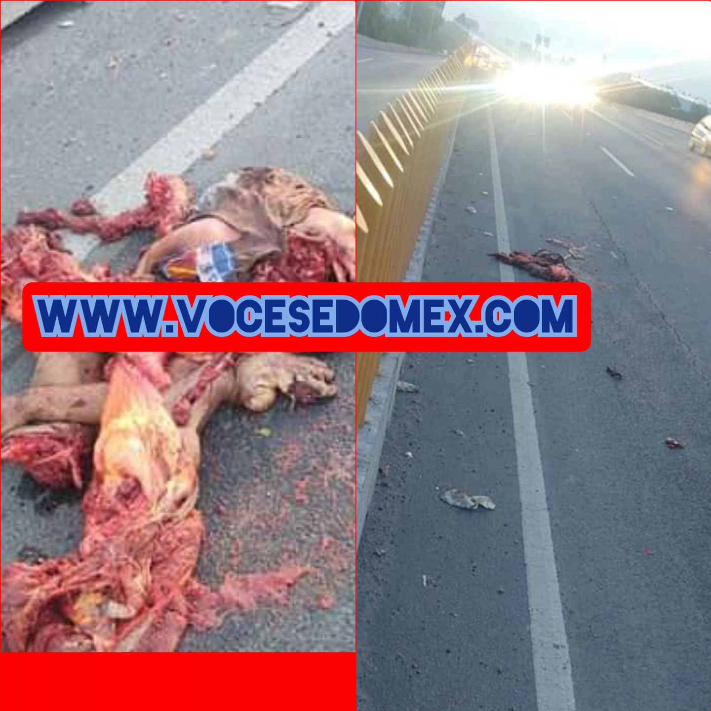 Queda destrozado cuerpo de hombre en la carretera México-Puebla 