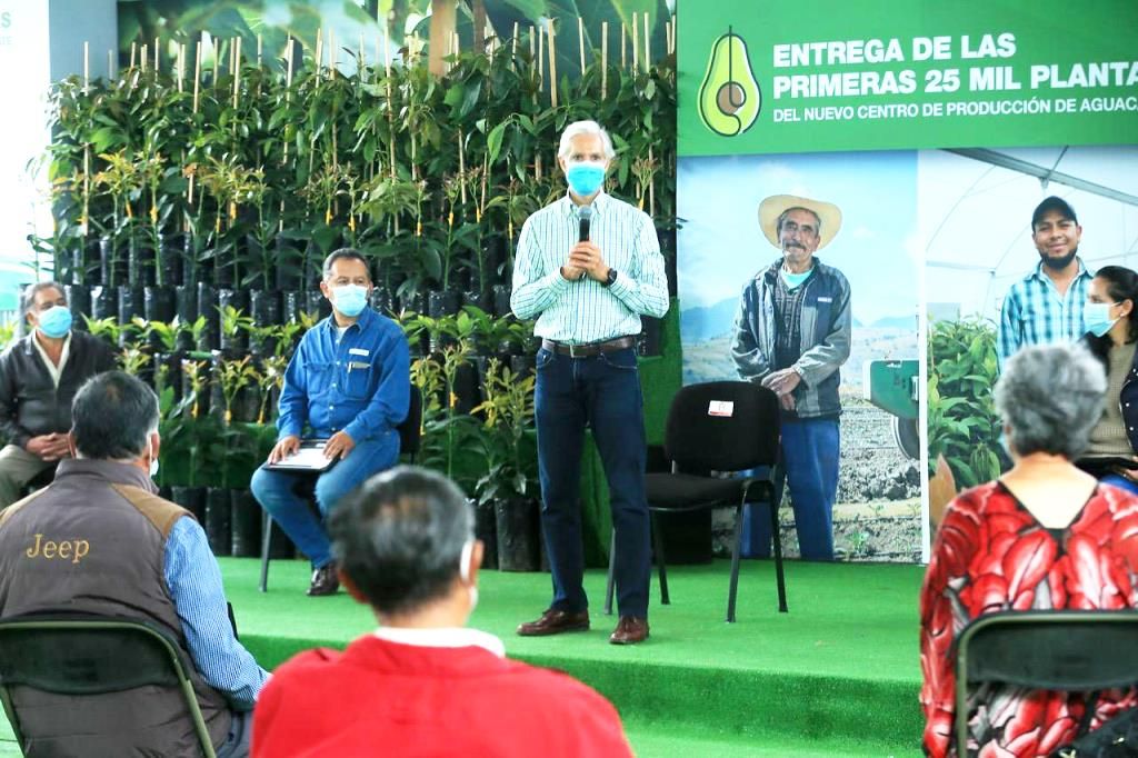 Alfredo del Mazo entrega 25 mil plantas de aguacate del nuevo Centro de Producción del Estado de México