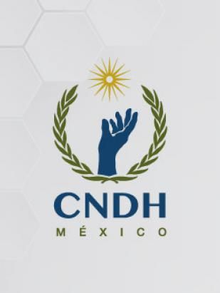 #La presidenta de la  CNDH, María del Rosario Piedra, inauguró el Conversatorio Virtual Los Derechos de los Pueblos y Comunidades Indígenas




