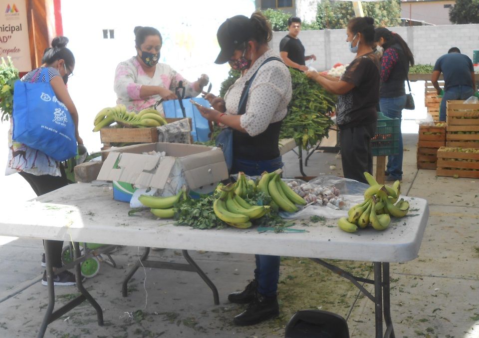 Paquetes de verdura a bajo costo apoya economía familiar en Chiautla