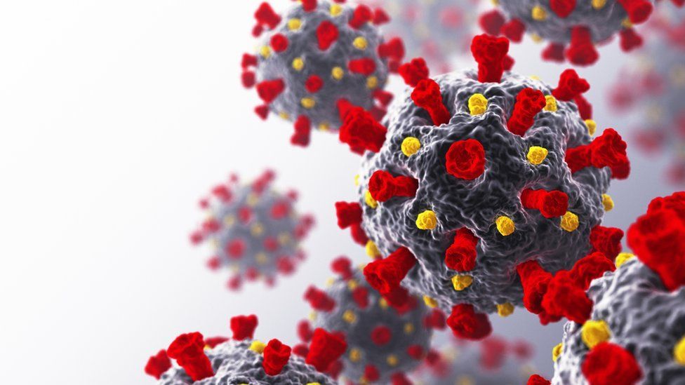 El punto débil del coronavirus que encontró una científica mexicana (y cómo puede servir para enfrentarlo)
